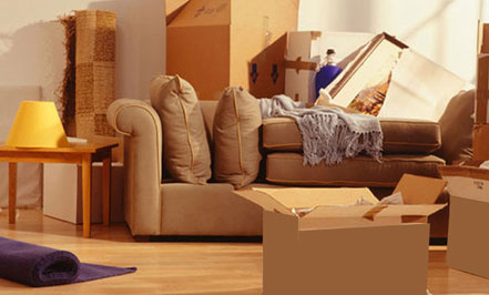 Movers Packers Services