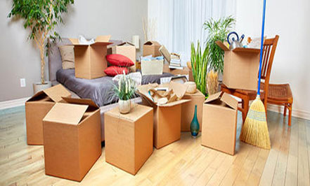 Packers and Movers Services